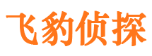 元氏飞豹私家侦探公司